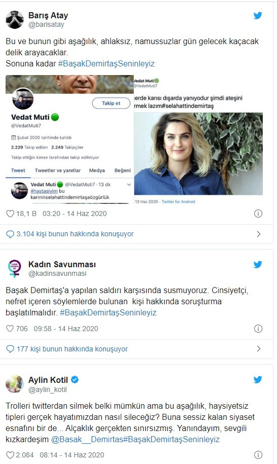 Yeşil toplu Ak trolden Başak Demirtaş'a ahlaksız saldırı - Resim: 3