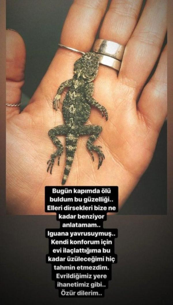 Birce Akalay öldürdüğü iguanadan özür diledi! - Resim: 1