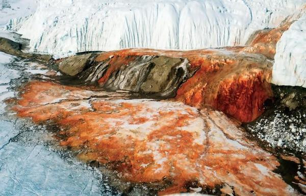 106 Yıl boyunca buzulların üzerinde kalan kanın sırrı çözüldü - Resim: 1