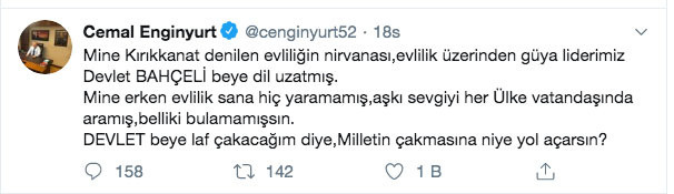 MHP'li Cemal Enginyurt'tan Mine Kırıkkanat'a hakaret: Milletin çakmasına.. - Resim: 3