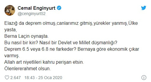 MHP'li Cemal Enginyurt'tan Berna Laçin'e sert tepki! - Resim: 2