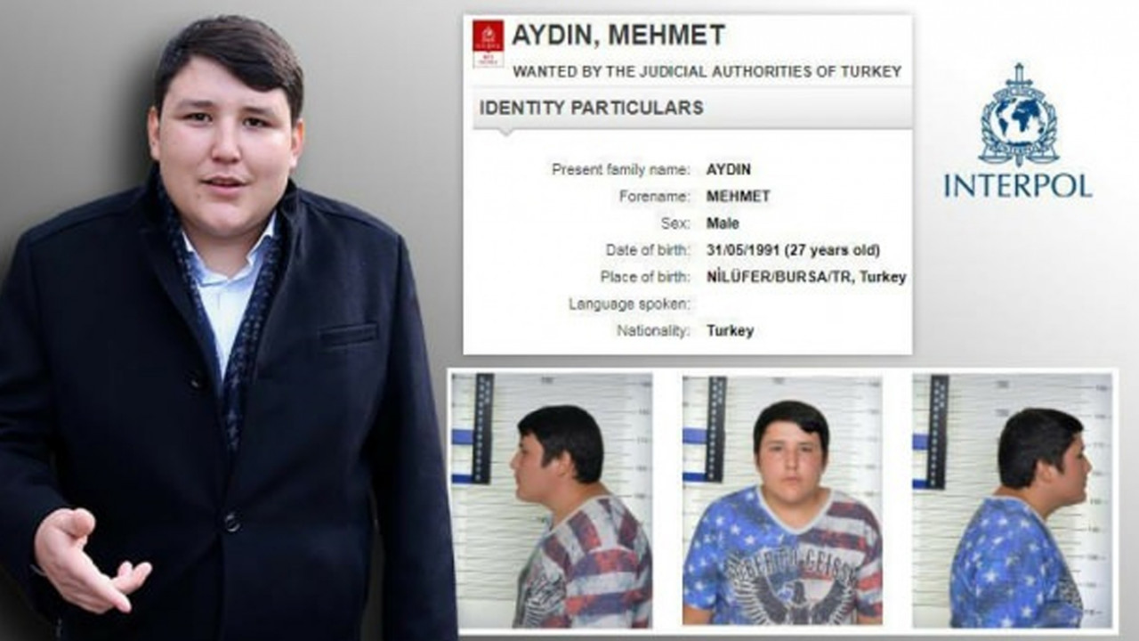 Çiftlik Bank'ın Tosuncuk'un kripto paradan aylık kazancı ortaya çıktı - Resim: 1