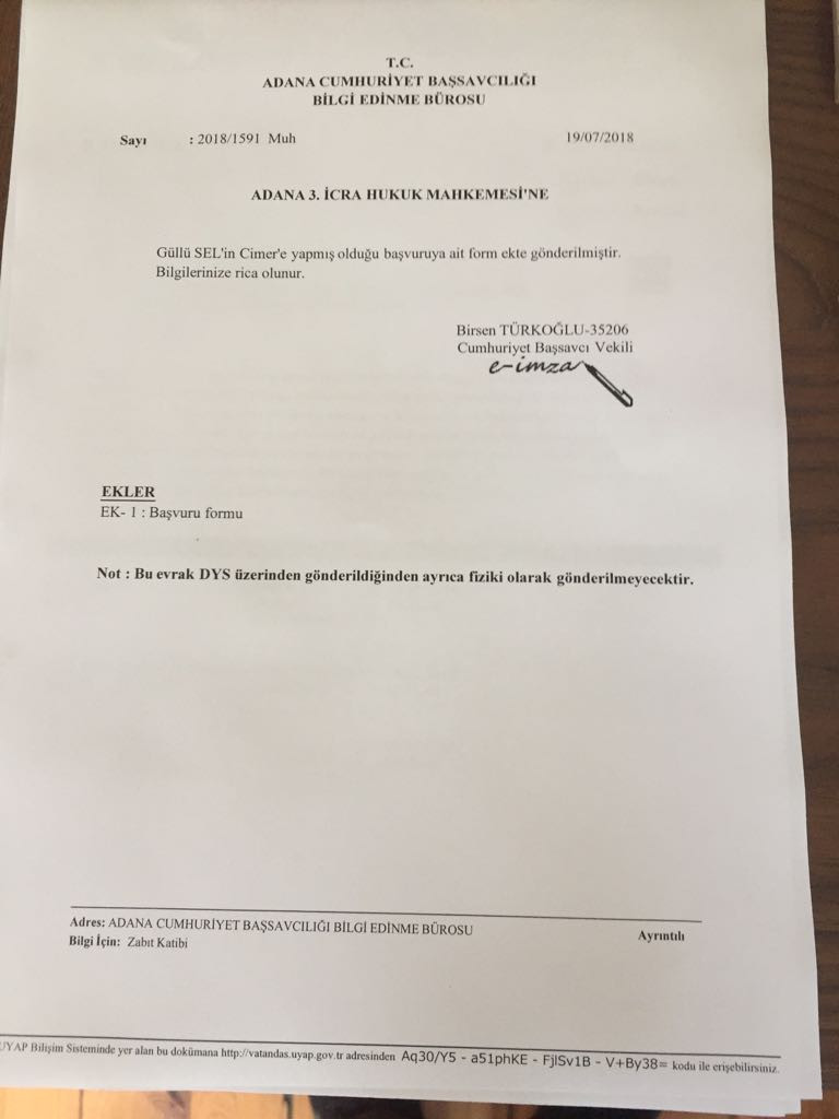 Erdoğan'a oy verdiği resmiyle Cimer'e başvurdu, dilekçesi işleme kondu - Resim: 1