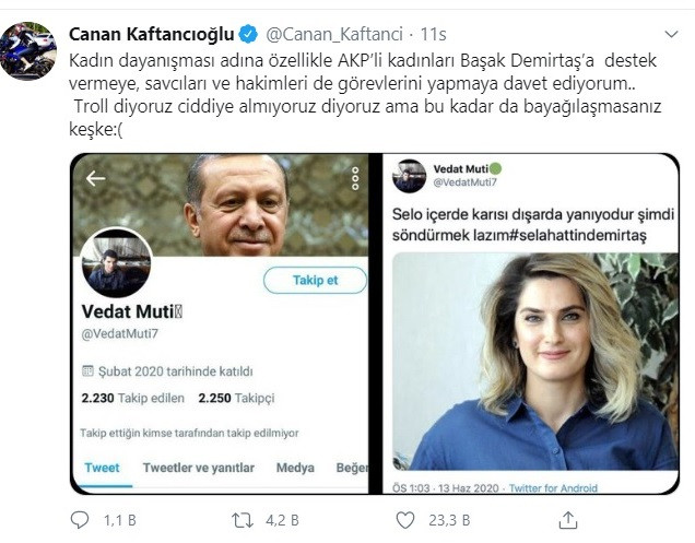 Yeşil toplu Ak trolden Başak Demirtaş'a ahlaksız saldırı - Resim: 1