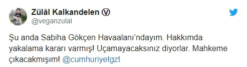 Cumhuriyet yazarı Zülâl Kalkandelen gözaltına alındığını duyurdu - Resim: 1