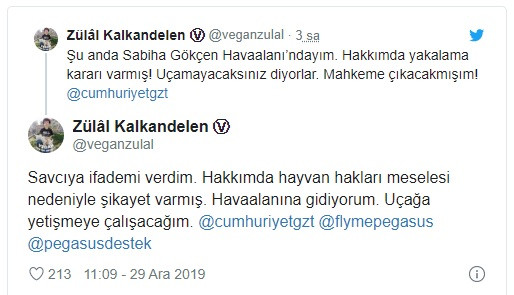 Cumhuriyet yazarı Zülal Kalkandelen serbest bırakıldı