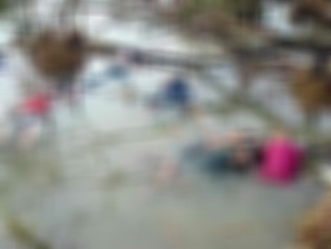 Sosyal medyada Arakan diye paylaşılmıştı, gerçek farklı çıktı - Resim: 9