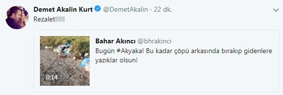 Demet Akalın sahildeki çöplere isyan etti: Rezalet! - Resim: 1