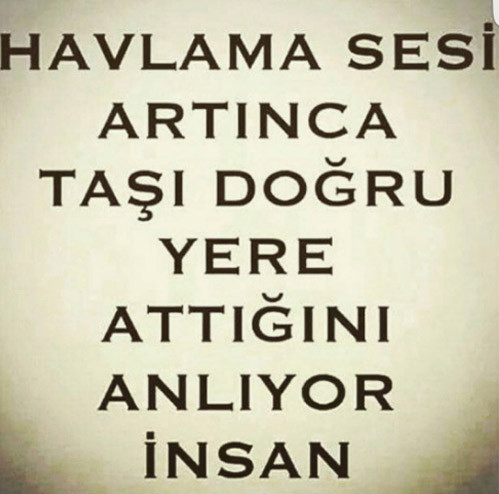 Deniz Akkaya’dan Lerzan Mutlu’ya cevap - Resim: 1