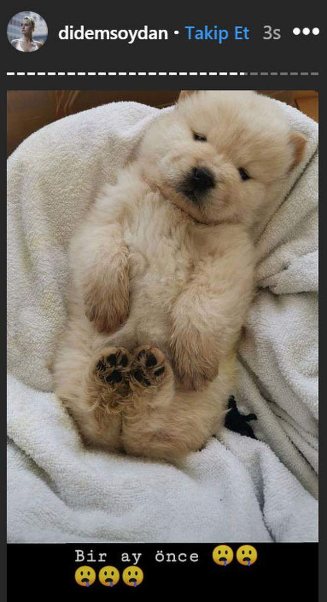 Didem Soydan: Huzurlu bir ortamda ölsün istedik - Resim: 1