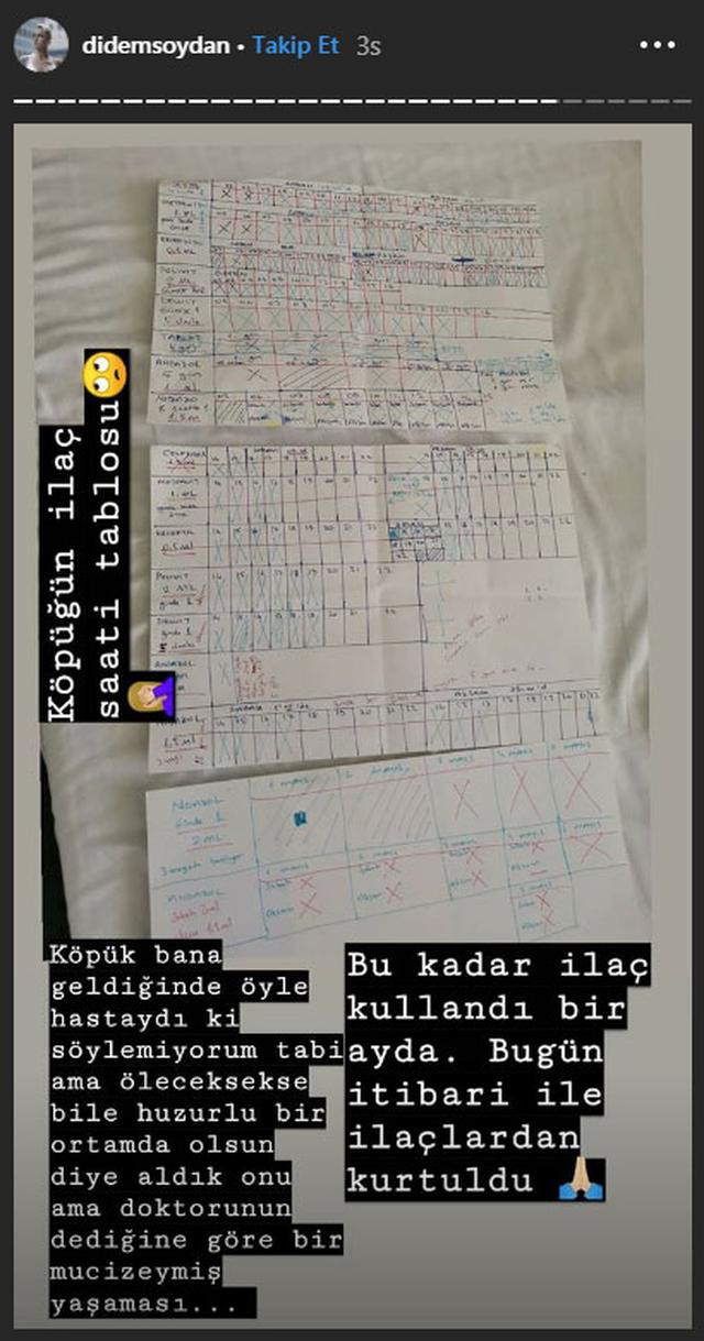 Didem Soydan: Huzurlu bir ortamda ölsün istedik - Resim: 2