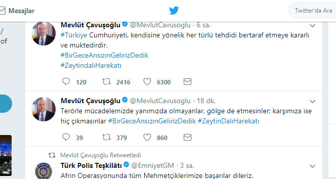 Dışişleri Bakanı Çavuşoğlu: Yanımızda olmayan, gölge etmesin - Resim: 1