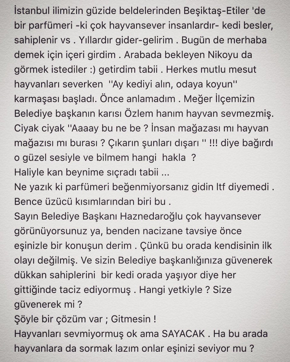 Beşiktaş Belediye Başkanı Hazinedar'ın eşi hayvan severleri kızdırdı - Resim: 1
