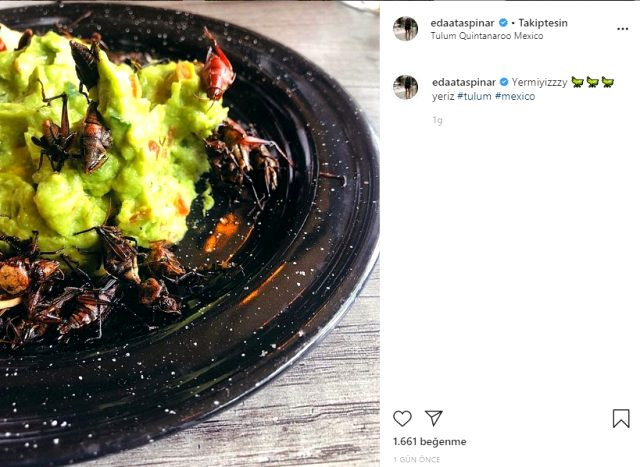 Ebru Şancı'dan çekirge yiyen Eda Taşpınar'a sert tepki: Zıkkımın kökünü yesin - Resim: 1