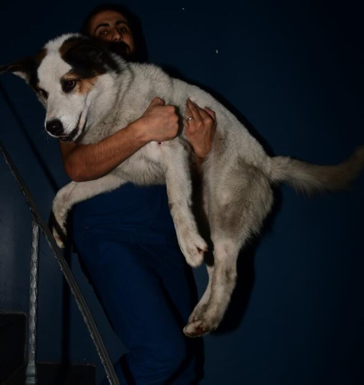 Eda Ece'nin yardımına polisler yetişti! - Resim: 1