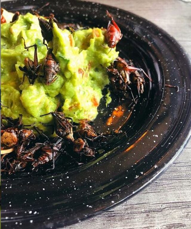 Eda Taşpınar'dan Meksika sahillerinde üstsüz poz - Resim: 2