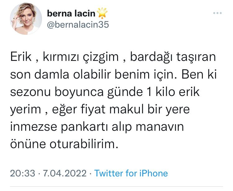 Berna Laçin: Pankartı Alıp Manavın Önüne İnerim! - Resim: 1