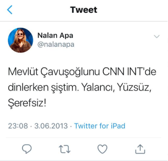 Bakan Ersoy'a büyük tepki: AKP'lileri çıldırtan Nalan Apa istifa ettirildi - Resim: 2