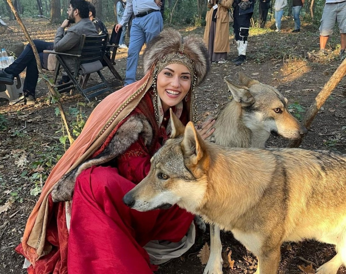 Alparslan Büyük Selçuklu Akça Hatun Kimdir? Medyafaresi Alparslan Büyük Selçuklu Akça Hatun Kimdir? Medyafaresi