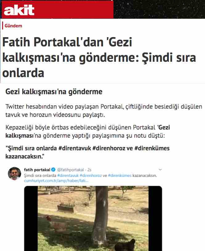 Yobaz Akit gazetesi, Fatih Portakal'ın tavuklarından Gezi mesajı çıkardı - Resim: 3