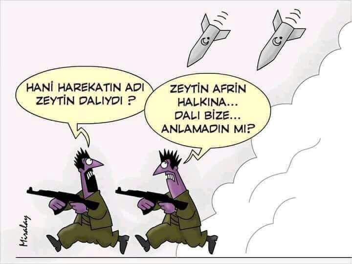 İşte Başbakan'ın beğendiği Zeytin Dalı karikatürü - Resim: 1