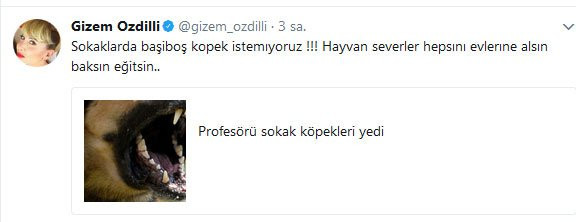 Gizem Özdilli: Sokaklarda başıboş köpek istemiyoruz - Resim: 1