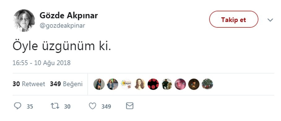 Ekonomi yazarları dolar ve dövizdeki yükselişi nasıl karşıladı? - Resim: 2