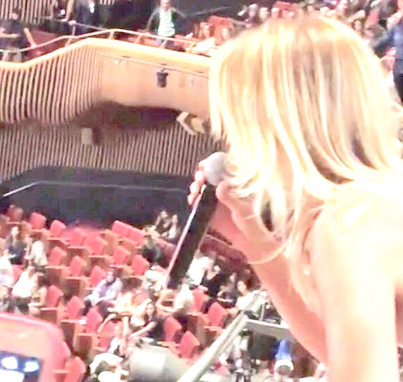 Gülben Ergen'in konserinde büyük şok - Resim: 1