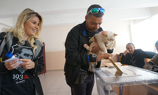 Kediler de sandık başında - Resim: 1