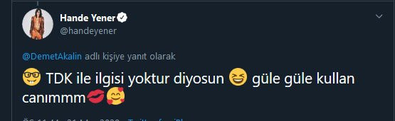 Hande Yener’den Demet Akalın’a TDK göndermesi - Resim: 2