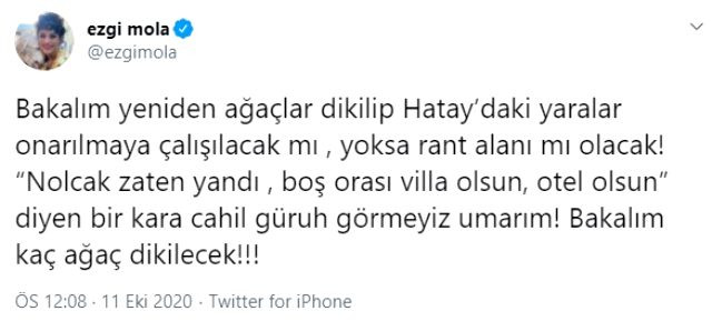 Hatay'da yakılan ormanlık alan ranta açılmasın diyen Ezgi Mola linç edildi - Resim: 1
