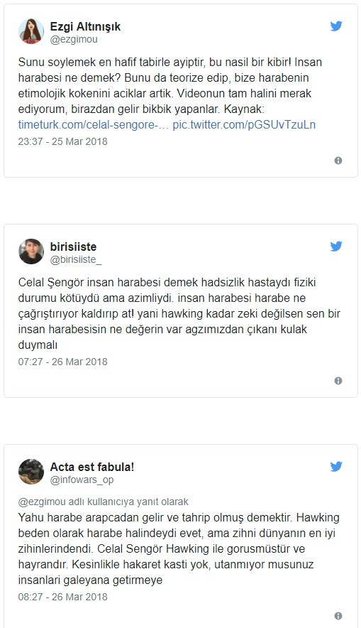 Celal Şengör'den Stephen Hawking'e: İnsan harabesi - Resim: 2