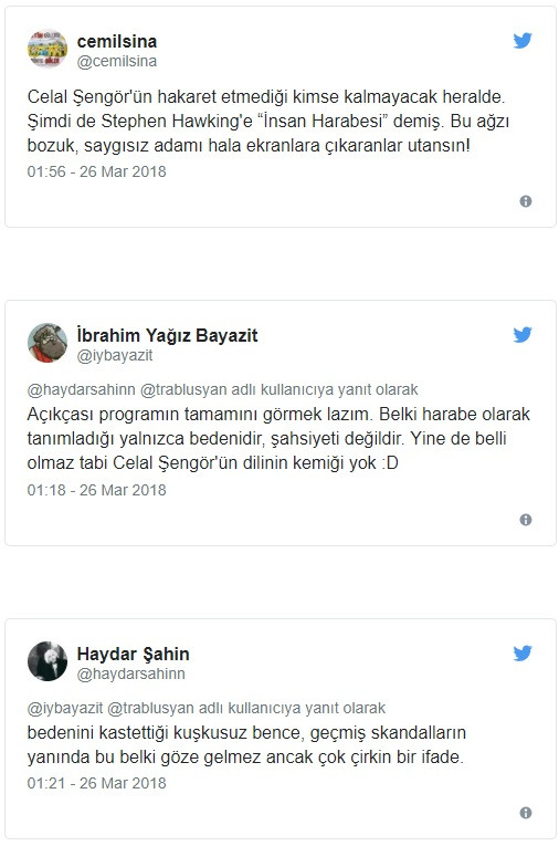 Celal Şengör'den Stephen Hawking'e: İnsan harabesi - Resim: 1