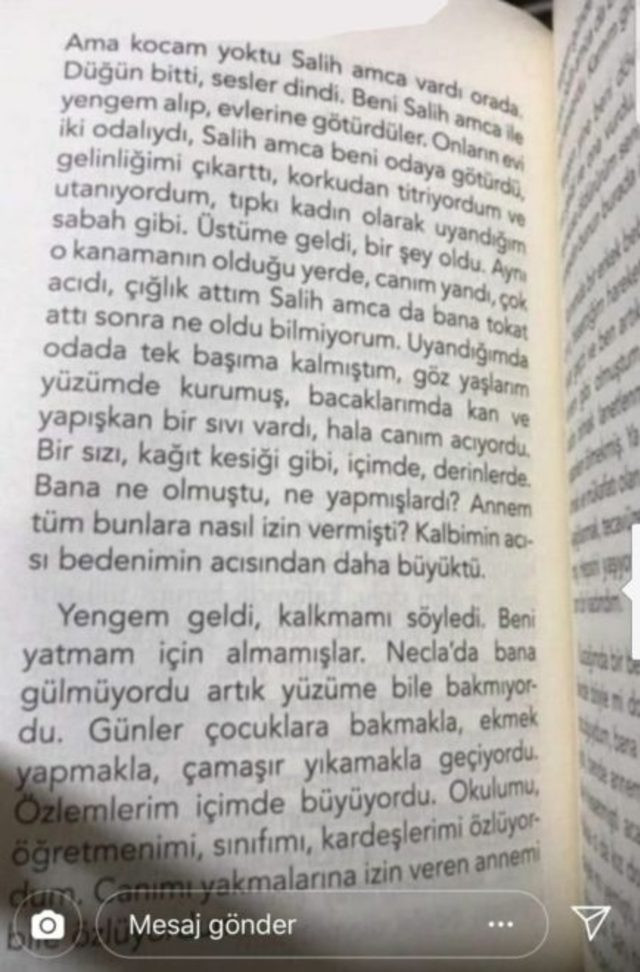 Çocuk kitabında kız çocuğuna tecavüz skandalı - Resim: 1