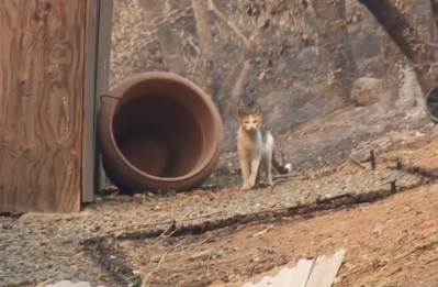 98 yaşındaki anne 80 yaşındaki huzurevinde kalan oğlunun yanına taşındı - Resim: 1