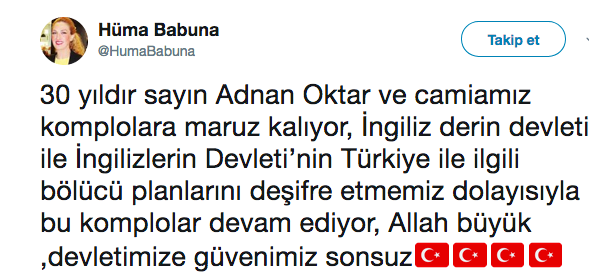 3 kedicik lüks otomobille kaçmaya çalışırken yakalandı - Resim: 1