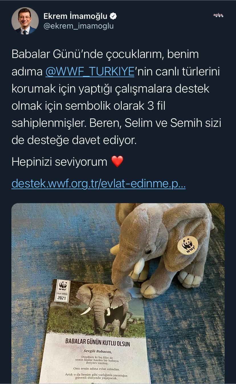 Ekrem İmamoğlu'na Babalar Günü Hediyesi: 3 Fil Sahiplendi - Resim: 1