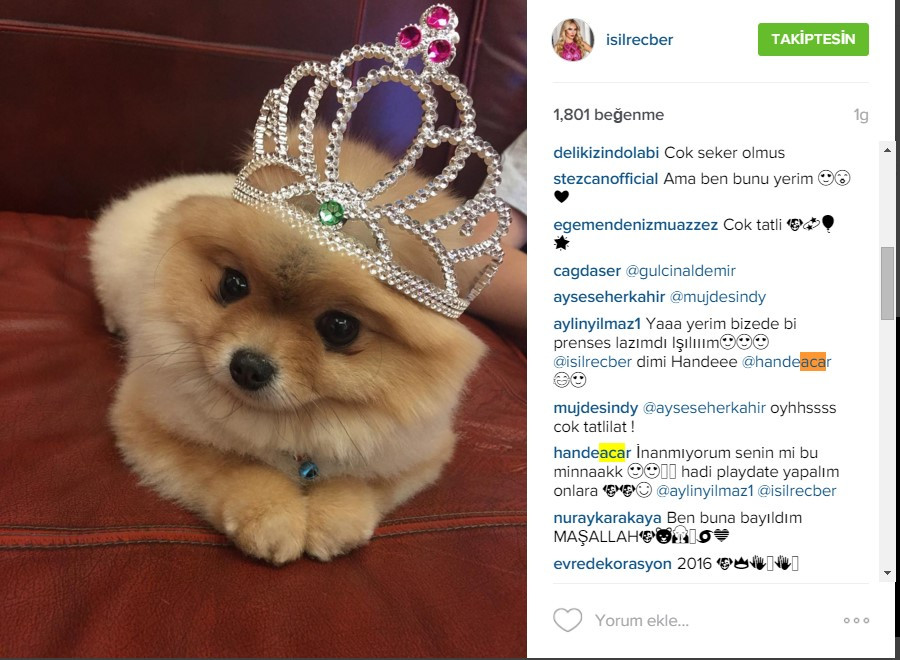 Hande Acar'dan Işıl Reçber'e köpek oynatma teklifi - Resim: 1