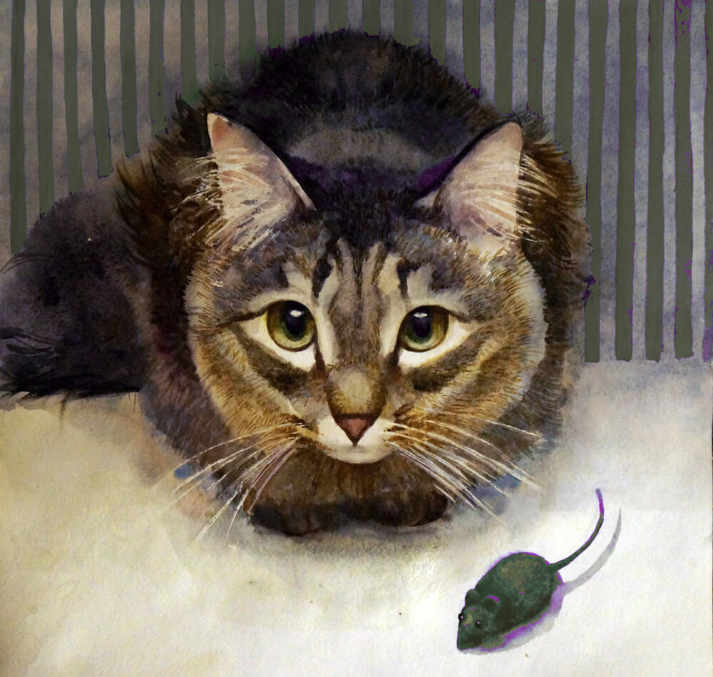 kediniz sizi seviyor mu iste kedilerin