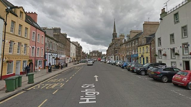 Kanlar içinde bulundu! Köpeği cinsel organını ve testislerini yemiş - Resim: 1