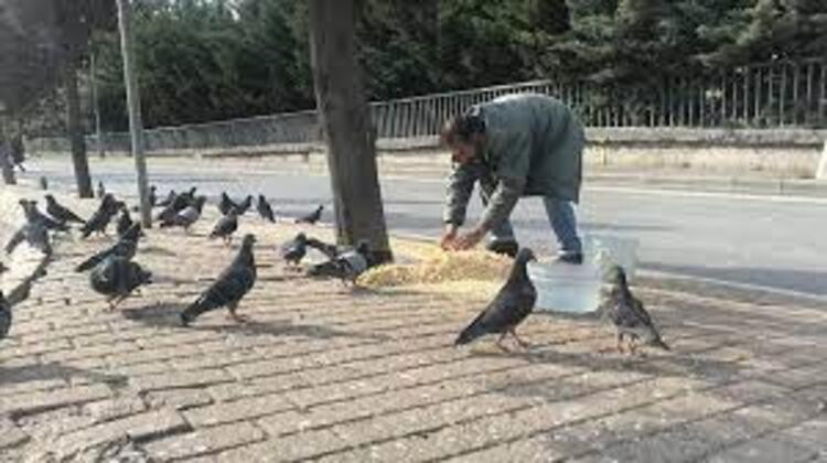 Dünya Sokak Hayvanlarını Sevme ve Koruma Günü - Resim: 2