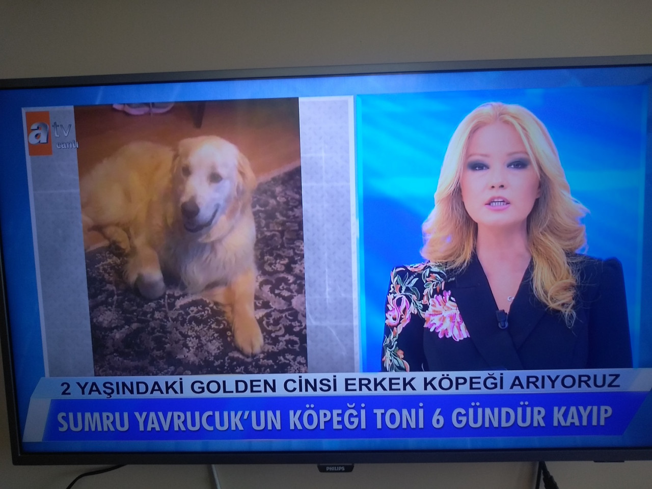 Müge Anlı usta oyuncu için harekete geçti - Resim: 1