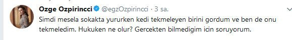 Özge Özpirinçci'den kediye şiddete tepki - Resim: 1