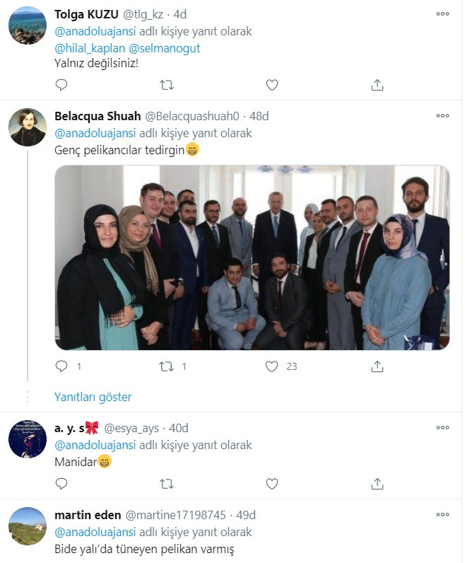 Anadolu Ajansı'nın yalnız ve çaresiz Pelikan haberine olay yorumlar - Resim: 3