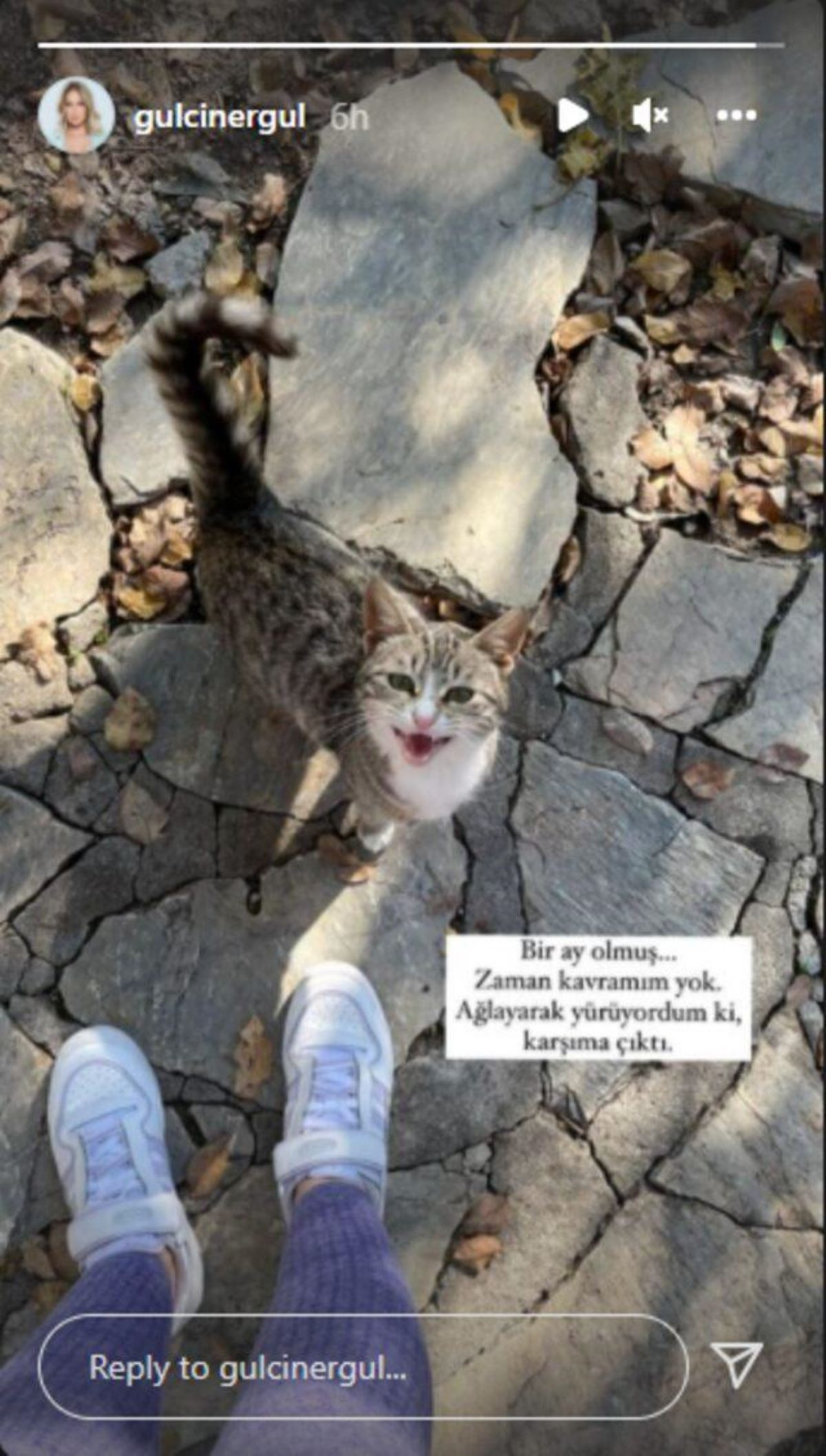 Sevgilisini Kazada Kaybeden Gülçin Ergül'den Duygulandıran Paylaşım - Resim: 1