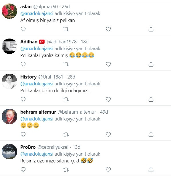 Anadolu Ajansı'nın yalnız ve çaresiz Pelikan haberine olay yorumlar - Resim: 2