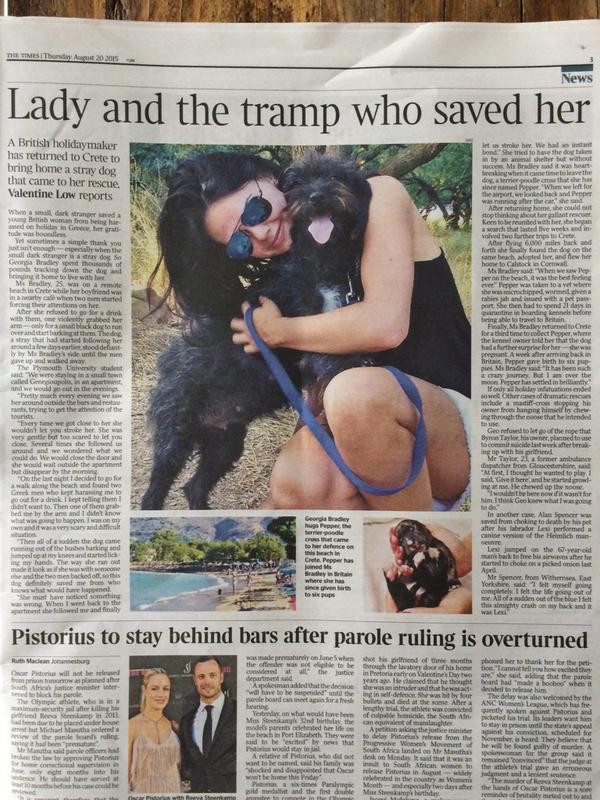 İki sapık kadına tecavüz edecekken sokak köpeği kurtardı - Resim: 1