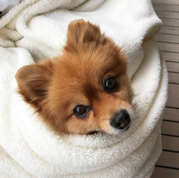 Pınar Altuğ'dan çok sert tepki: Yatacak yeriniz yok! - Resim: 1