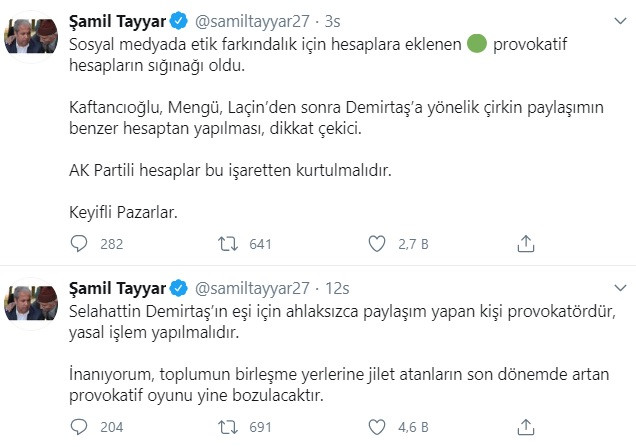 Yeşil toplu Ak trolden Başak Demirtaş'a ahlaksız saldırı - Resim: 2