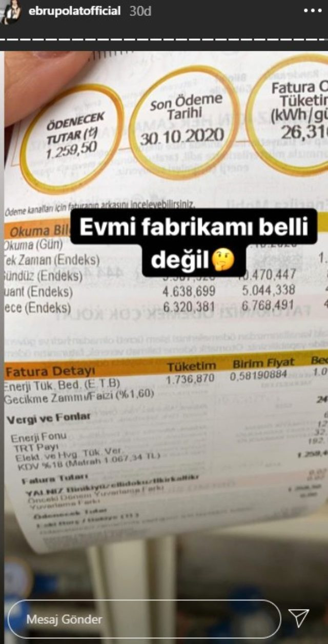 Ebru Polat, evine gelen elektrik ve doğal gaz faturasına isyan etti - Resim: 1
